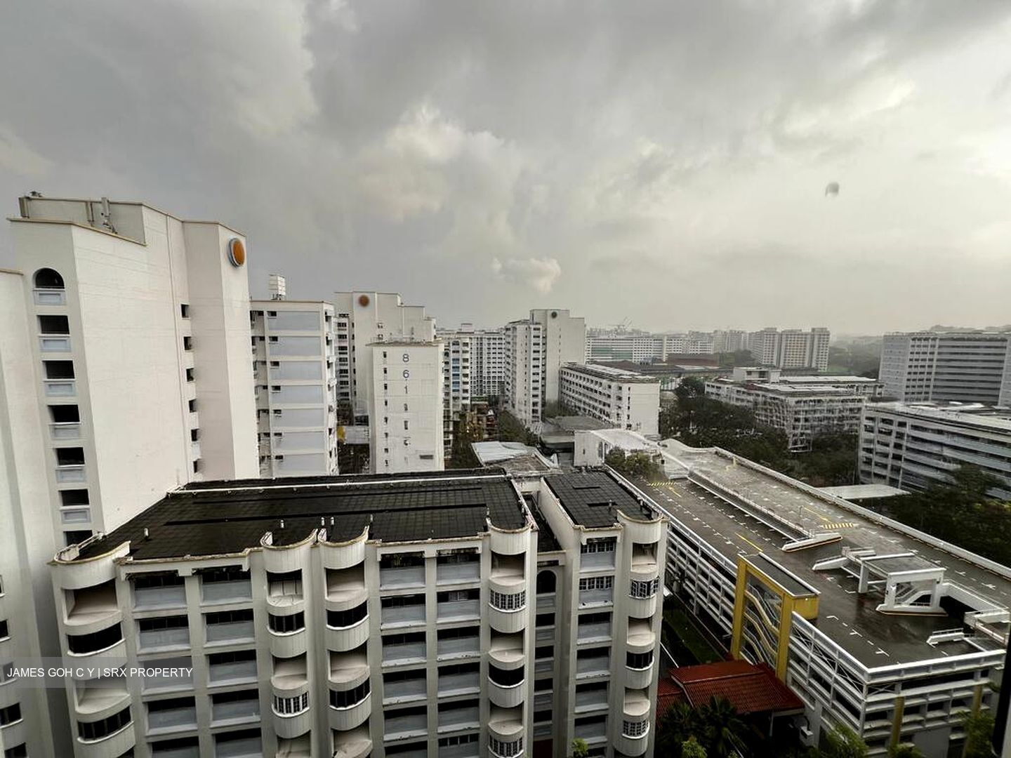 The Floravale (D22), Condominium #501766131